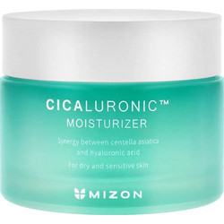 Mizon Cicaluronic Moisturizer 120ml