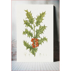 Πίνακας, Hand drawn holly