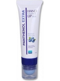 Medisei Panthenol Extra & Lip Stick Bluberry Ενυδατική & Αναπλαστική Κρέμα Χεριών 25ml