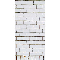 Διακοσμητική αφίσα με Τοίχο από τούβλα, 90x190cm 122.009.0131.35