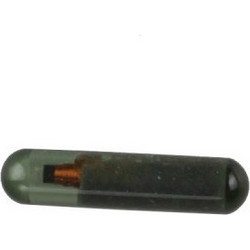 Immobilizer Chip T24 - (A4)ID48 (SKODA CAN BUS)