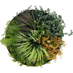 GloboStar(R) Artificial Garden VARIOUS PLANTS ROUND WALL DISC 20688 Τεχνητό Διακοσμητικό Στρογγυλό Πάνελ Φυλλωσιάς - Κάθετος Κήπος Μιξ Μ50 x Π50 x Υ23cm 20688