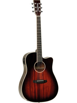 Tanglewood TW5AVB Winterleaf Dreadnought