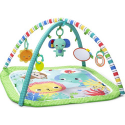 Bright Starts Γυμναστήριο Wild Wiggles