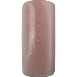 Magnetic Pro-Formula Sparkling Nudes Powder Gold 12gr