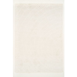 Χαλί Διαδρόμου 80X150 Ezzo Pavia F045A3R Cream (80x150)