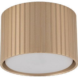 Φωτιστικό Οροφής-Σποτ Ferro 11657 1xGX53 8,4x5,7cm Champagne TK Lighting
