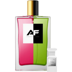Type Soleil Neige Tom Ford