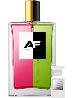Type Soleil Neige Tom Ford