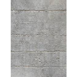 PANEL 117040 (ΚΙΒ 10ΤΜΧ) ΕΥΚΑΜΠΤΗΣ ΠΕΤΡΑΣ 600/1200mm CONCRETE BOARD LIGHT GREY NewPlan