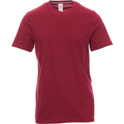 ΜΠΛΟΥΖΑΚΙ T-SHIRT SUNSET ΜΠΟΡΝΤΟ 150GR PAYPER 02000334