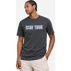 Firefly Ανδρικό T-shirt Stay True Γκρι