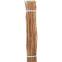 Ιστοί Μπαμπού Φυτωρίου Δέμα 30τμχ Φ30-34mmx(Υ)350cm