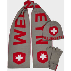 Wellensteyn Set Κασκόλ Σκούφος Γάντια - KHSG 105 GRD Grey/Red
