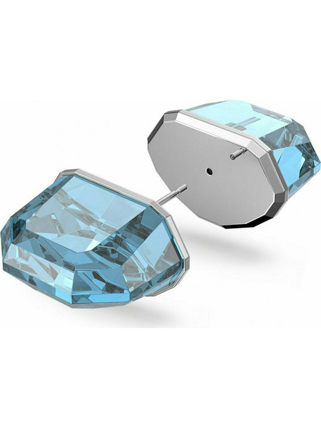 Swarovski Γυναικείο Σκουλαρίκι Καρφωτό 5600255