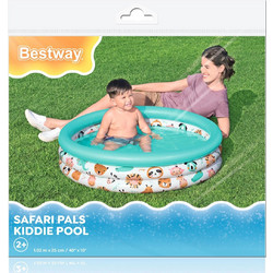 Bestway 51008