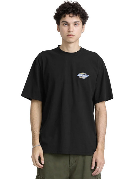 DICKIES PARADISE SS TEE DK0A8CIOBLK-BLK Μαύρο