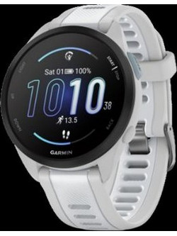 Garmin VHF 100i