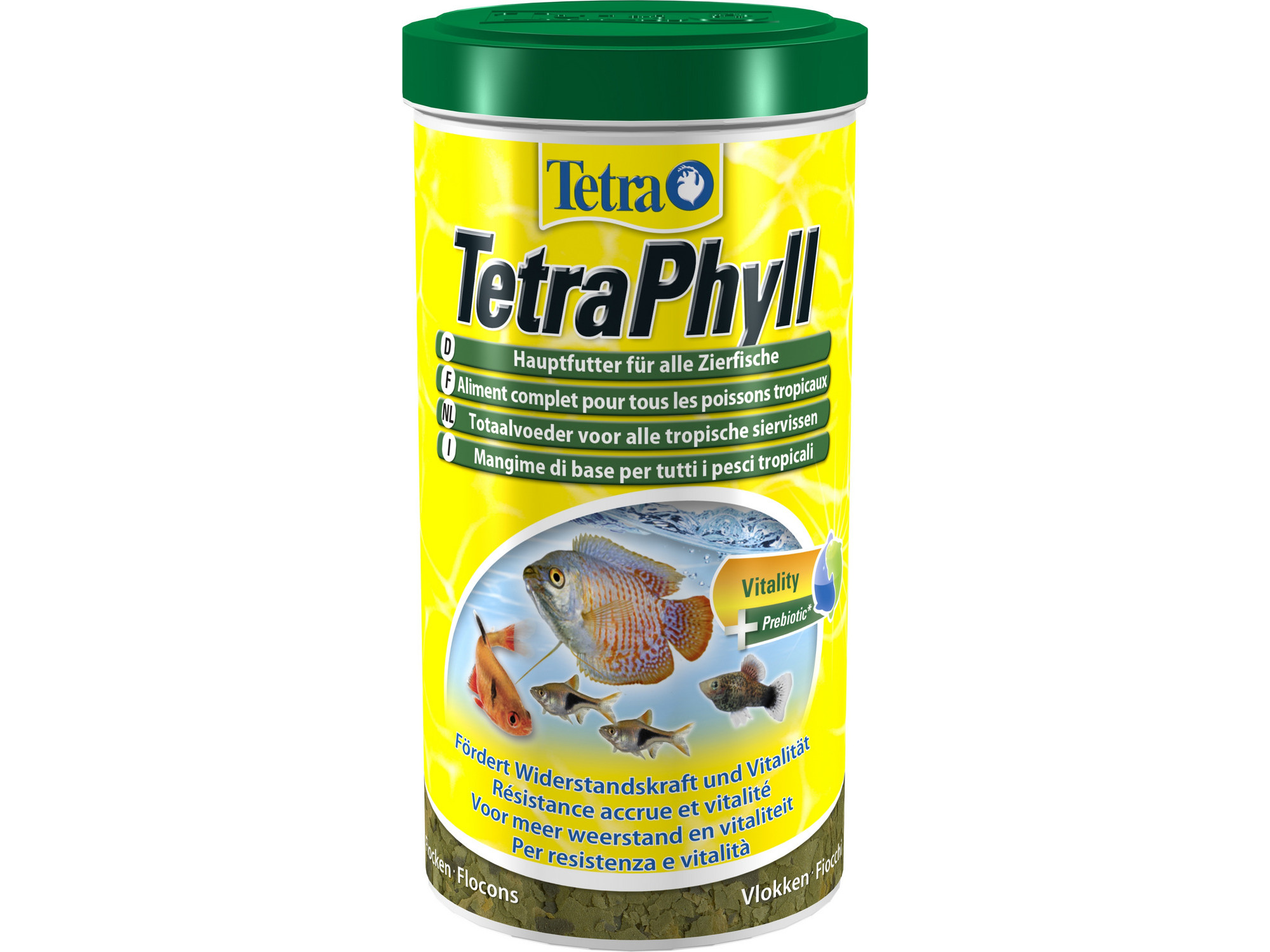 tetra phyll