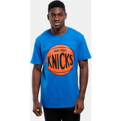 Mitchell & Ness NBA Team Logo Tee BMTRINTL1268-NYKROYA