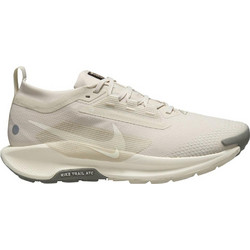 Nike Pegasus Trail 5 Ανδρικά Αθλητικά Παπούτσια Trail Running Εκρού FQ0908-008