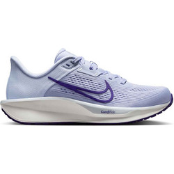 Nike Quest 6 Γυναικεία Αθλητικά Παπούτσια για Τρέξιμο Λιλά FD6034-008