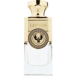 Electimuss Silvanus Parfum 100ml