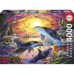 Puzzle Educa Orcas and Wolves 4000 Κομμάτια