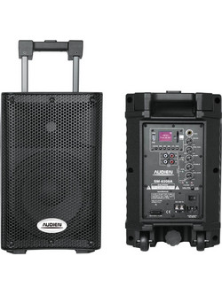 Audien SM-6208
