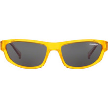 Arnette AN4260 262587 Γυναικεία Γυαλιά Ηλίου Cat Eye Κοκάλινα Κίτρινα με Μαύρο Φακό