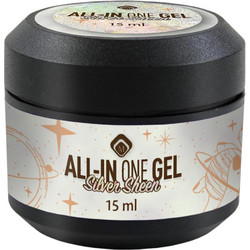 Magnetic All In One Silver Sheen Gel 15ml