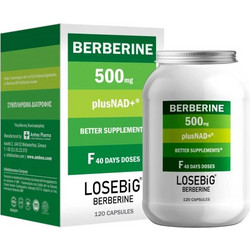 Amhes Losebig Berberine 500mg 120 Κάψουλες