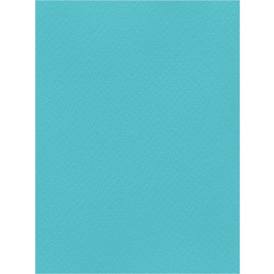 Favini Χαρτόνι Κανσόν Τιρκουάζ 70x100cm 831.70100.22T
