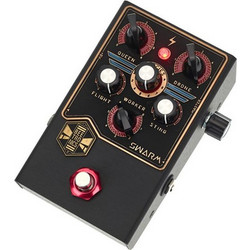 Beetronics Swarm