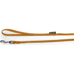 Glee Single Λουρί Σκύλου 1.22m x 10mm Πορτοκαλί