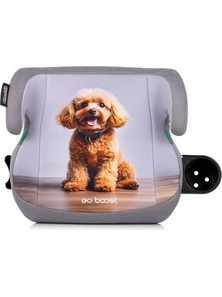 Poodle Κάθισμα Αυτοκινήτου Booster i-Size 22-36kg Grey
