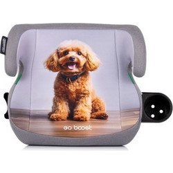 Poodle Κάθισμα Αυτοκινήτου Booster i-Size 22-36kg Grey