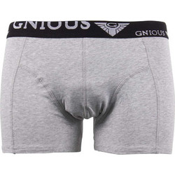 Gnious Ανδρικό Μποξεράκι Γκρι 40-300008-9501