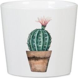Scheurich Cactus Garden Mini-Carlos 870