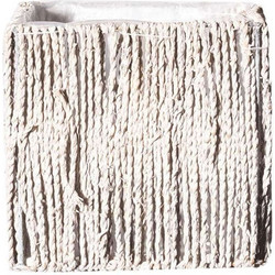 Supergreens Κασπώ Μπεζ 13x13x13cm A-7860-8