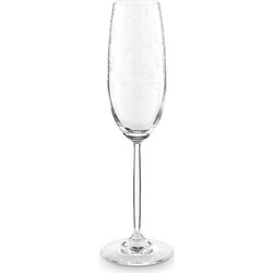Pip Studio Ποτήρι Σαμπάνιας Γυάλινο Κολωνάτο Flute Etching 230ml 51131030
