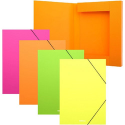 Κουτί Αρχείου Πλαστικό ErichKrause A4 3cm με Λάστιχο Mat Neon 50390