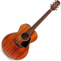 Takamine GLN11E Satin Natural