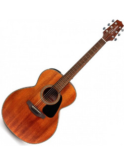 Takamine GLN11E Satin Natural