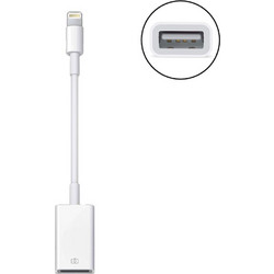 Μετατροπέας Lightning Αρσενικό σε USB-A Θηλυκό 12cm Treqa CA-1092 Λευκό