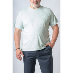 T-SHIRT K/M LEVI'S FLAMMA ΜΕ ΤΣΕΠΑΚΙ - ΒΕΡΑΜΑΝ