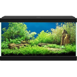 Ciano Aqua 20 Ενυδρείο Ψαριών με Φωτισμό & Φίλτρο 17lt Μαύρο