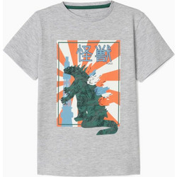 Zippy Παιδικό T-Shirt Κοντομάνικο Γκρι 31039572027