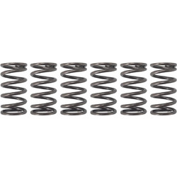 Ελατήρια συμπλέκτη ενισχυμένα Kawasaki Kaze-r 115 / Zx 130 / X Cite 135 / Kriss W-STANDARD