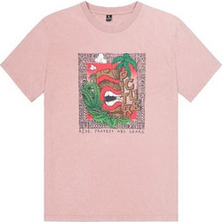 PICTURE WOGONG T-SHIRT WOODROSE